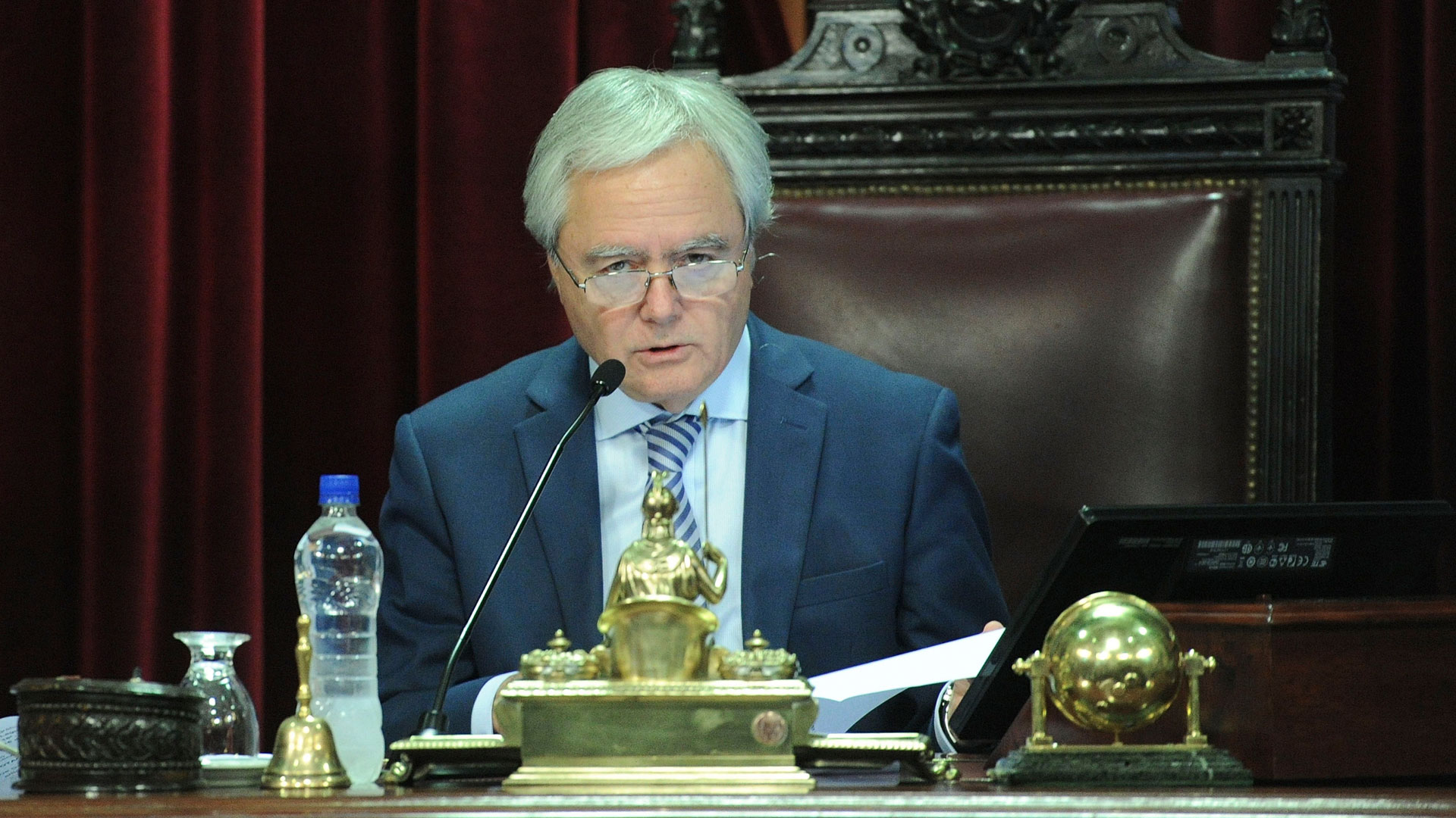 Federico Pinedo, durante una sesión en el Senado (Foto: Télam)