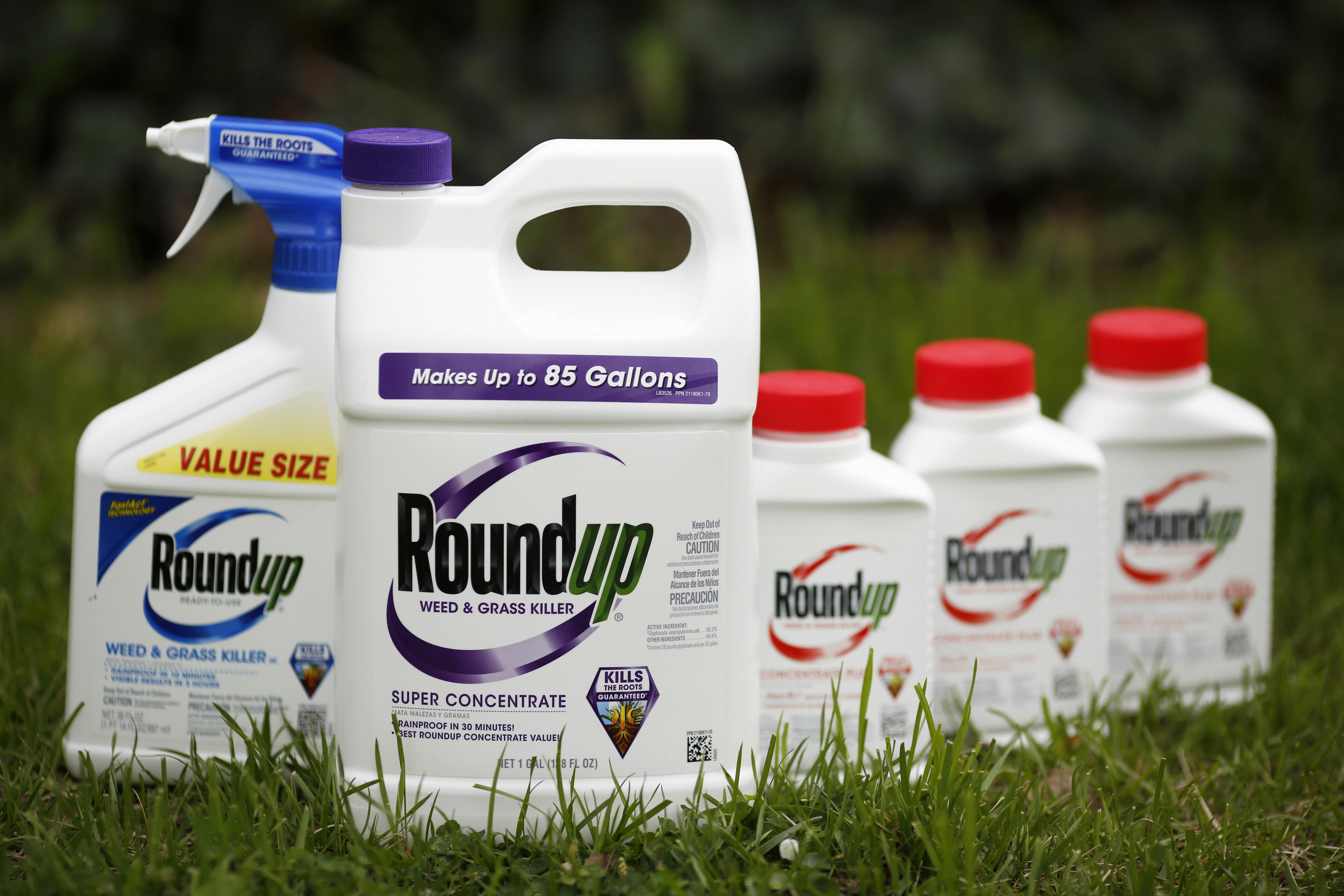 El herbicida Roundup de Monsanto, elaborado a base de glifosato (Foto: Bloomberg / Luke Sharrett)