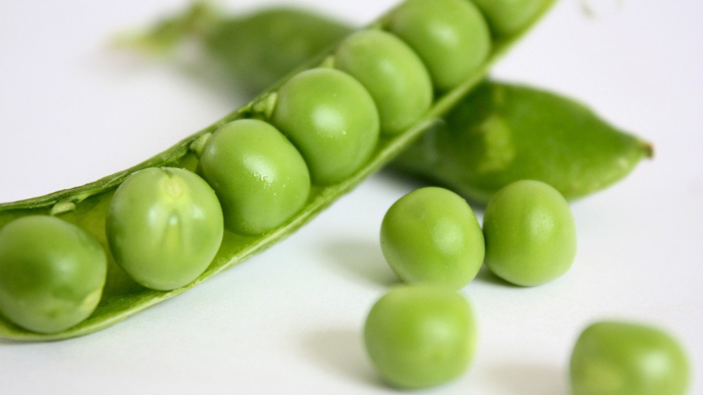 El guisante es la semilla verde comestible, encerrada en una vaina, de una planta trepadora leguminosa llamada Pisum Sativum.