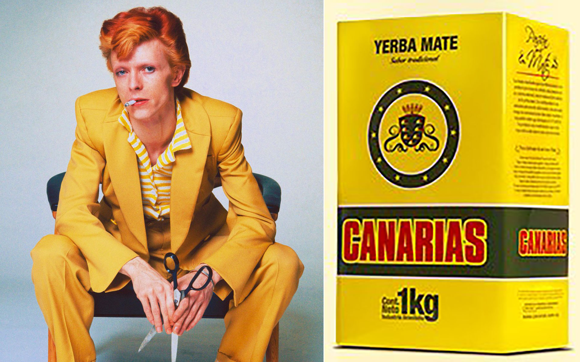Un Bowie de sus primeros años, vestido de pies a cabeza con el amarillo que distingue a la yerba Canarias