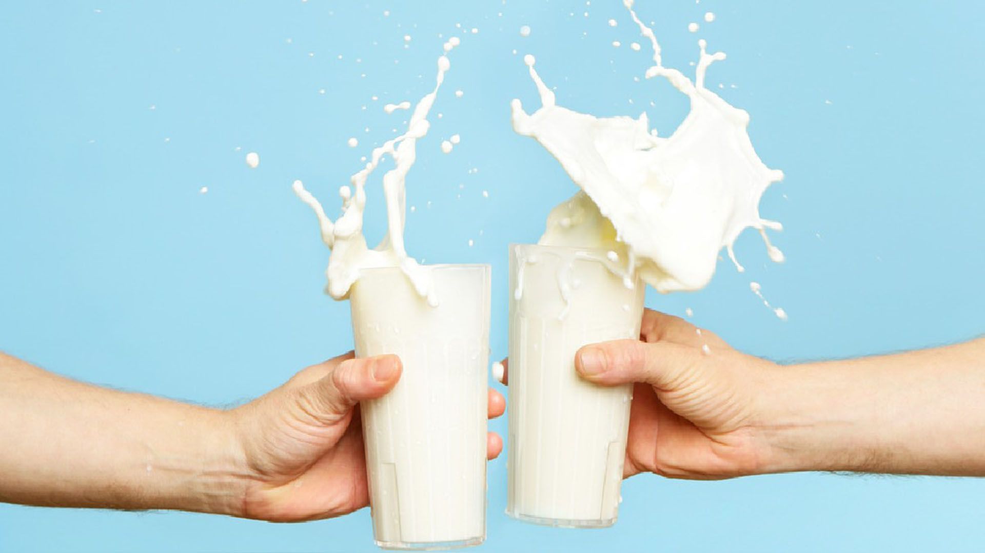 El Código Alimentario Argentino especifica claramente a qué producto se lo debe denominar ‘leche’: para los especialistas en nutrición, las bebidas vegetales provenientes de semillas o legumbres no pueden ser consideradas leche.  Tampoco los productos a base de yogurt y los llamados “alimentos lácteos” .