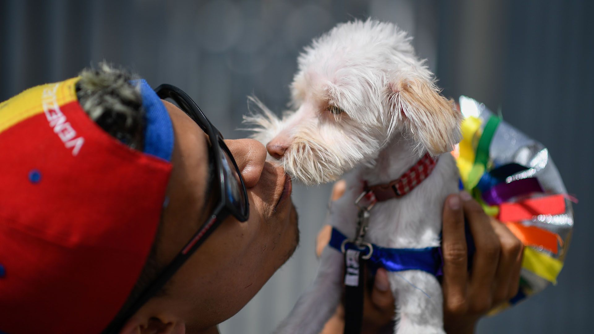 Una persona besa a su perro durante la Marcha del Orgullo Gay en Caracas. (AFP)