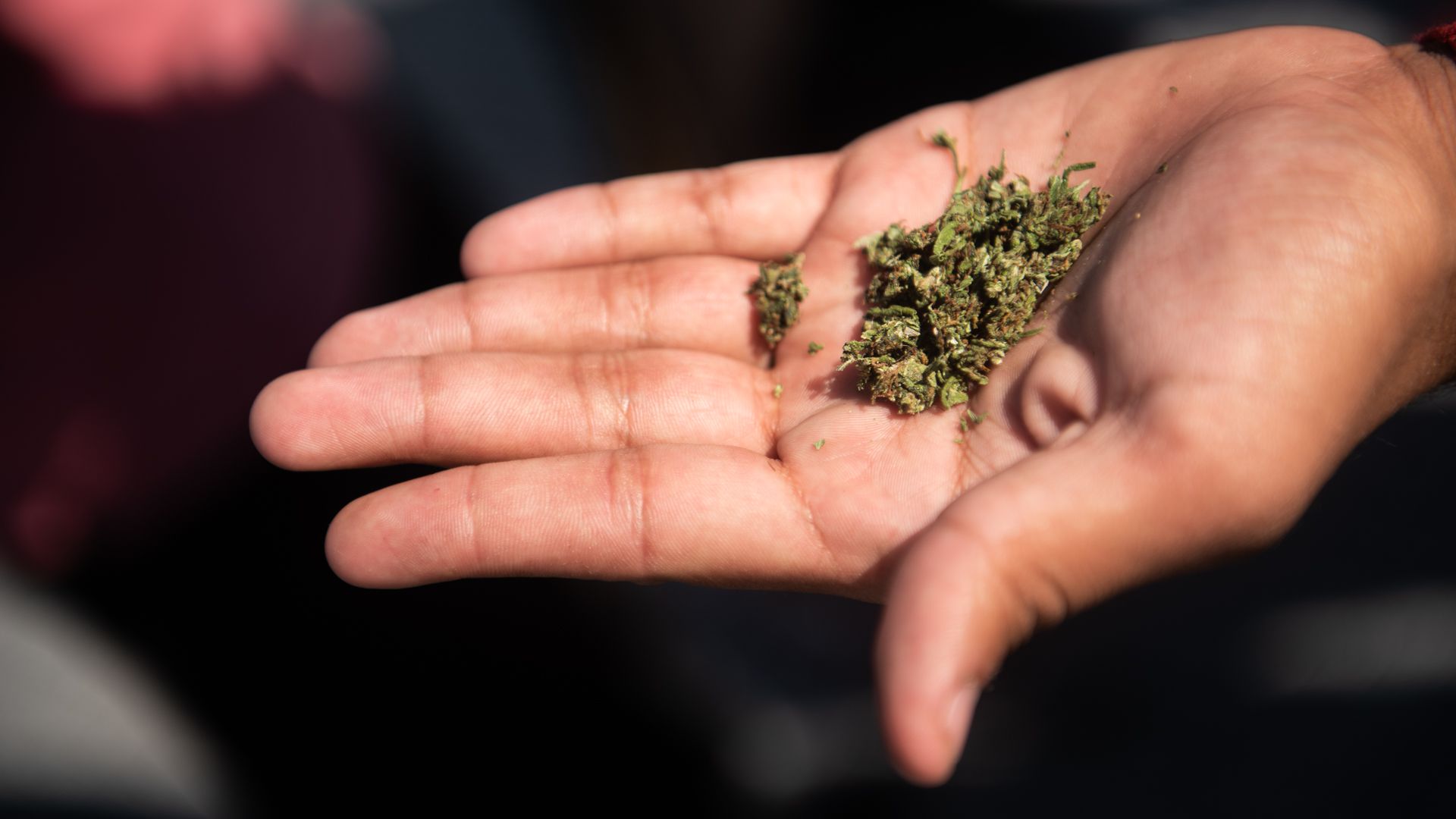 En Colombia se permite el porte de la dosis mínima que son 20 gramos de marihuana, 5 gramos de hachís, uno de cocaína -o sus derivados- y dos gramos de metacualona.