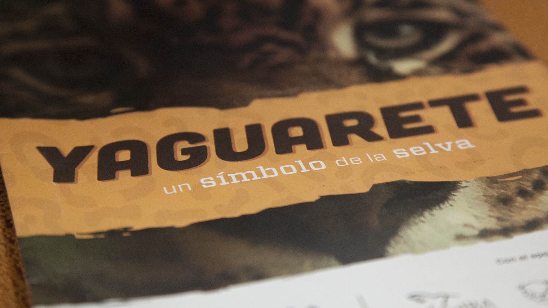Portada del libro “Yaguareté, un símbolo de la selva” (Santiago Saferstein)