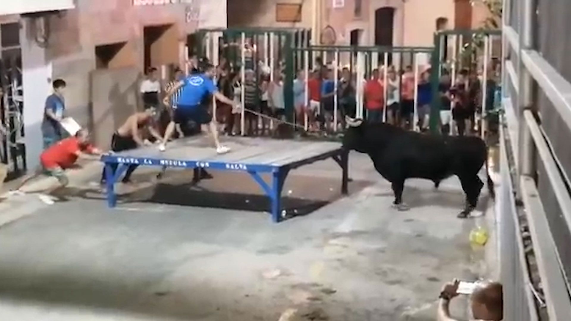 Un hombre estaba provocando al toro con un palo antes del ataque.