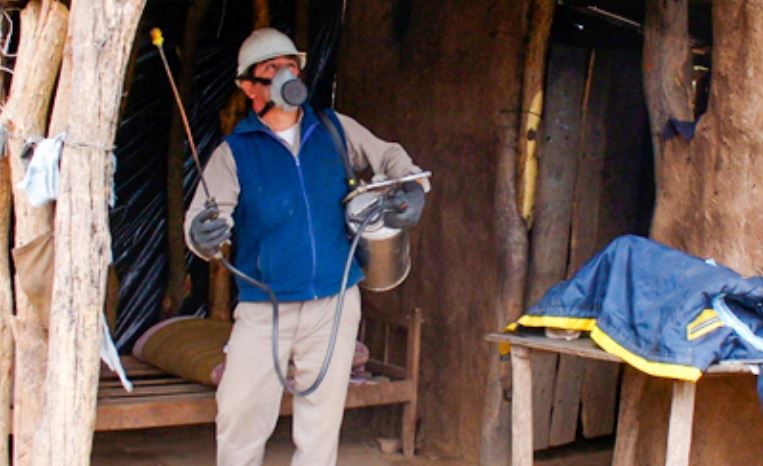 La desinfectación de las viviendas rurales es clave para detener el avance de la vinchuca