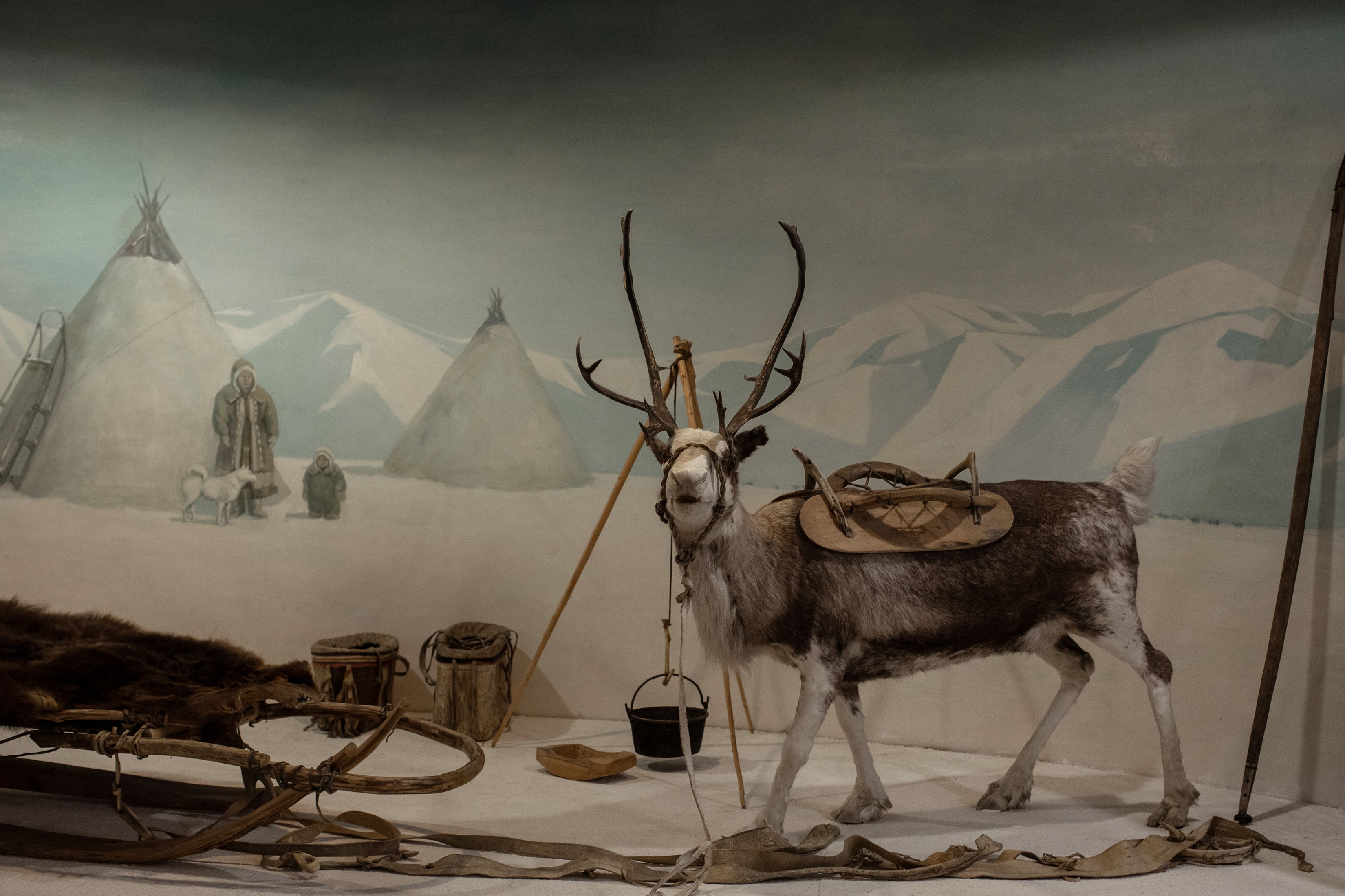 Una exposición en el Museo de Arqueología y Etnografía de Yakutsk muestra cómo era la vida de los pueblos indígenas en Sajá. Varias tribus que durante siglos han criado renos están amenazadas porque el calentamiento global descongela el permafrost. (Emile Ducke/The New York Times)