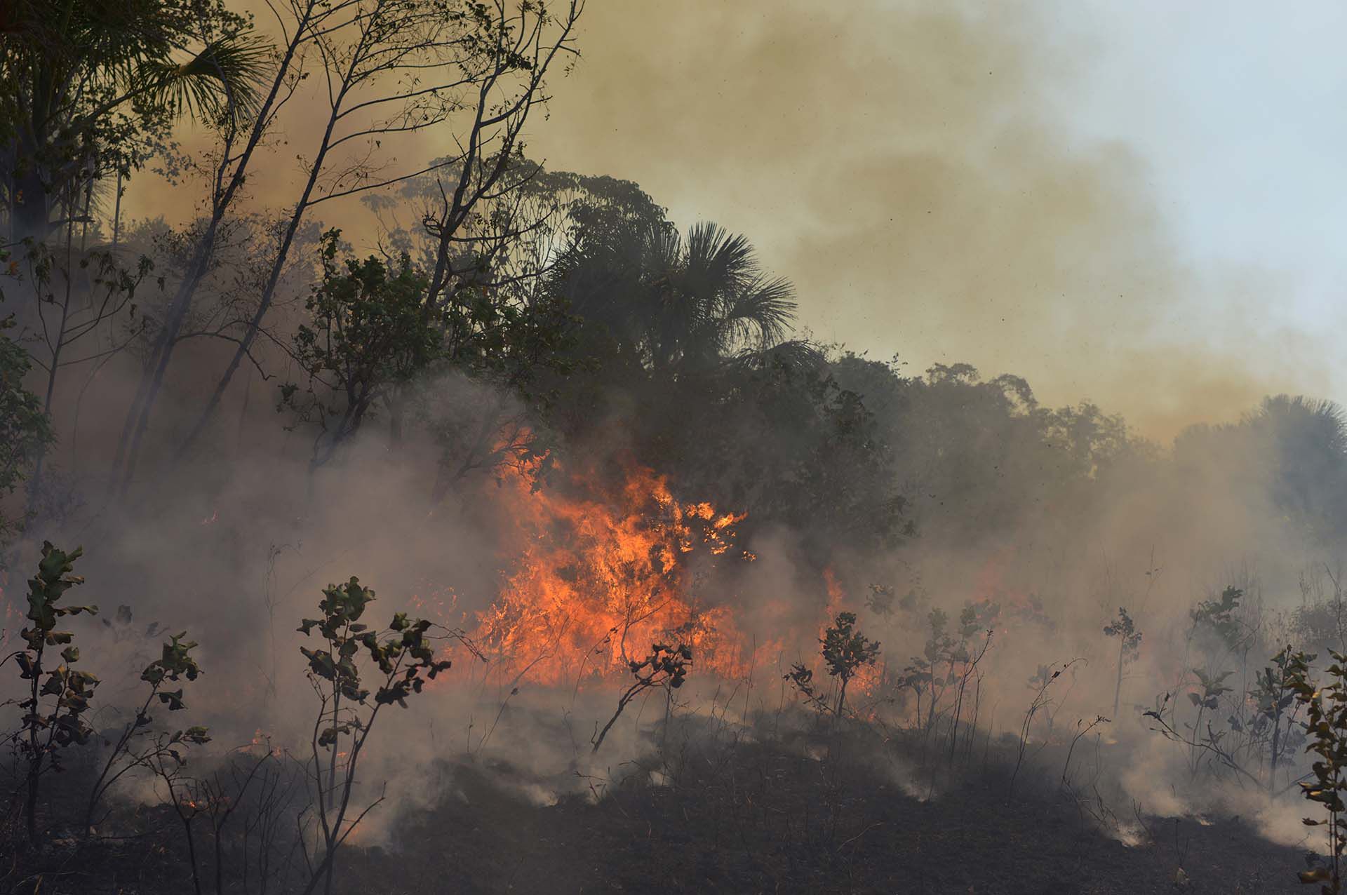 Los incendios forestales en el Amazonas han causado preocupación en Europa (REUTERS/Lucas Landau)