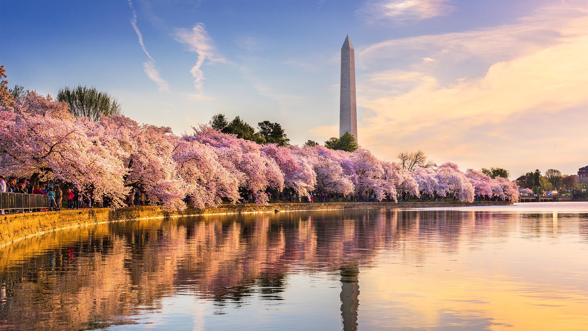 La capital de los Estados Unidos está repleta de monumentos emblemáticos, vastos museos y los pasillos del poder donde deambulan los políticos. Washington DC es una ciudad segura en general