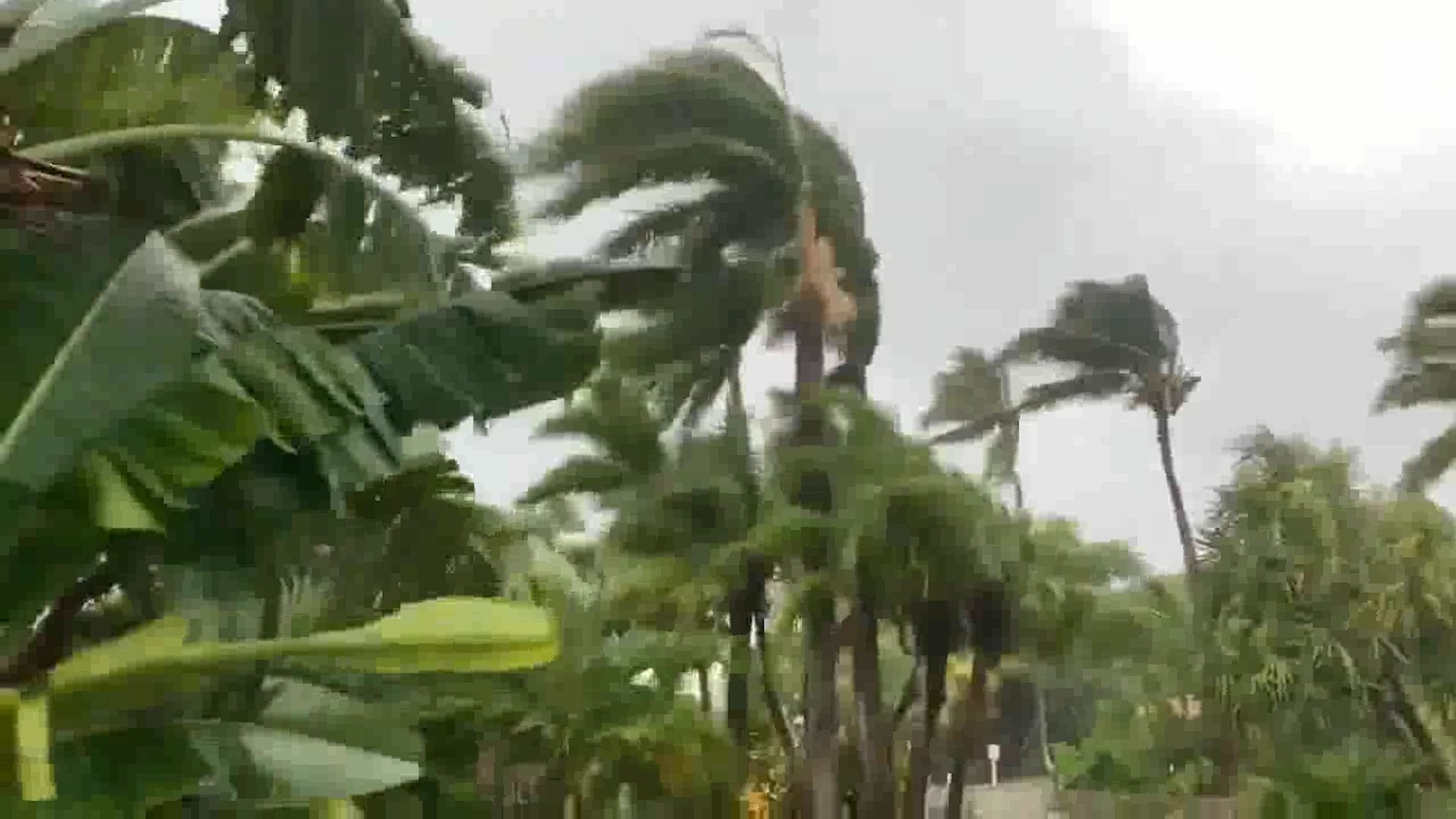 Usuarios de redes sociales reportaron el aumento de lluvia y viento en Las Bahamas (Foto: captura de pantalla Twitter)