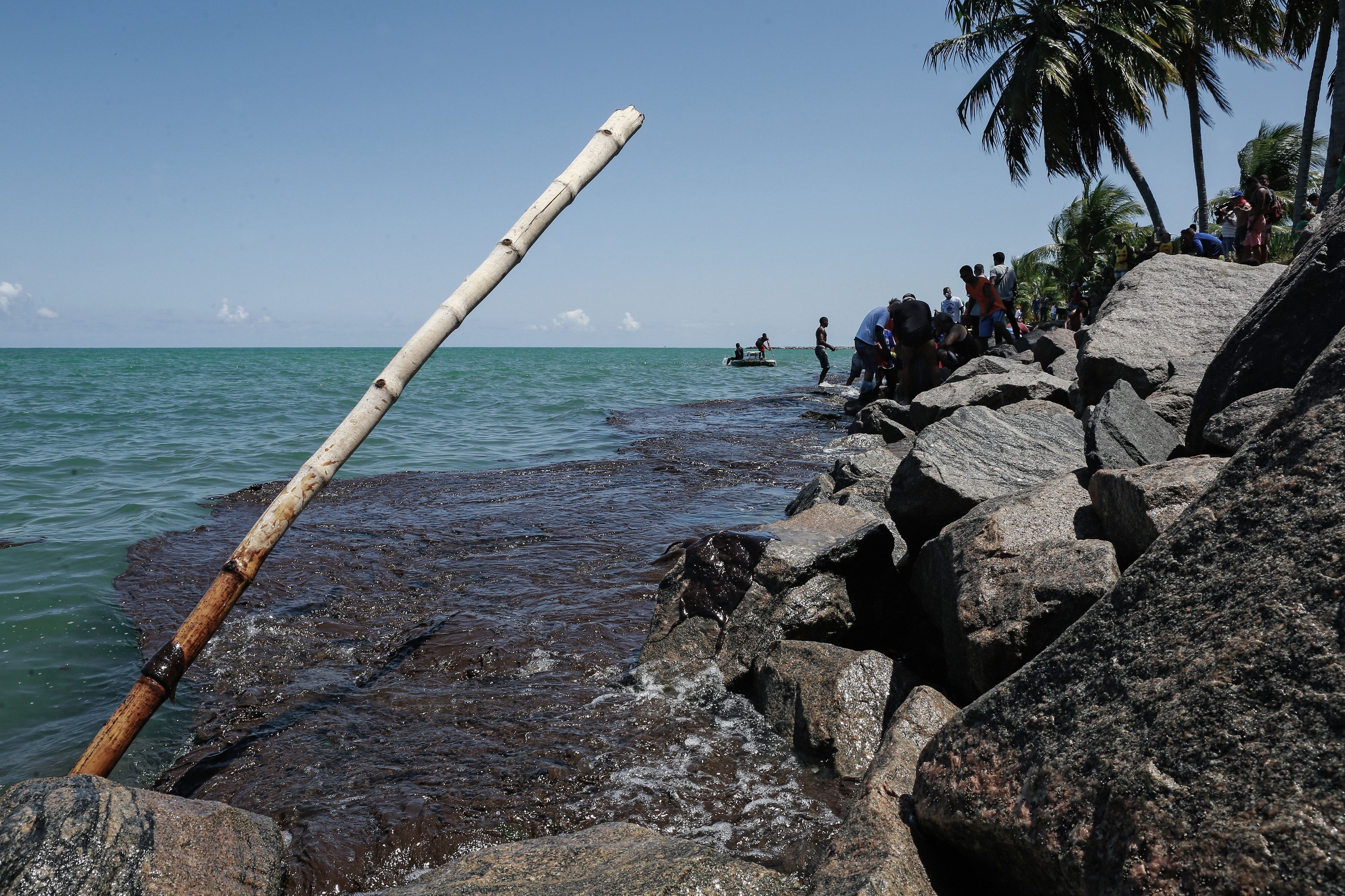 Voluntarios limpian el petróleo en una playa de Pernambuco (LEO MALAFAIA / AFP)
