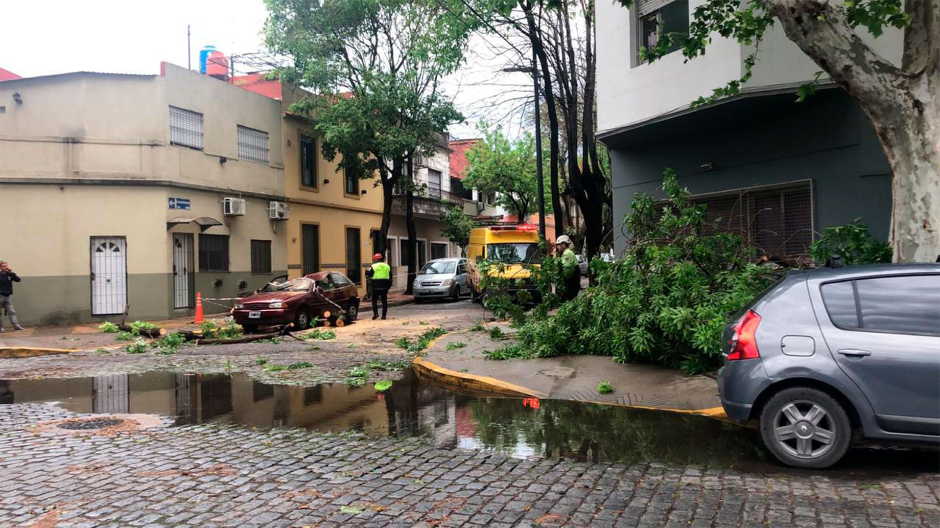 En el barrio porteño de Parque Chas, precisamente en Constantinopla esquina Barzana, se mantuvo cortado el tránsito por la caída de ramas y árboles, que destrozaron un VW Gol