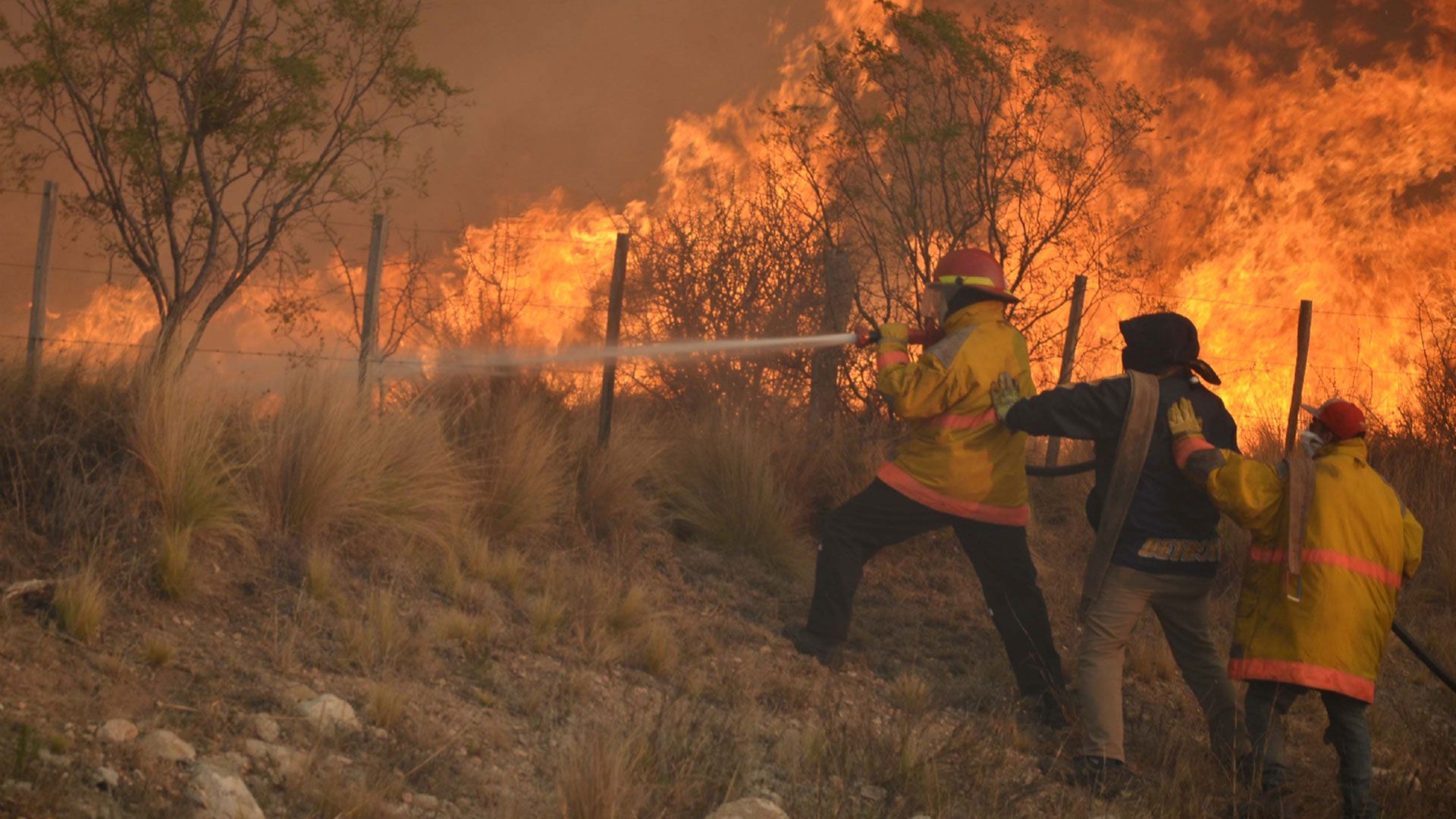 Los especialistas del INTA recomiendan mantener los márgenes de alambrados libre de vegetación, y cuando se realicen quemas de potreros se deberá avisar con 72 horas de antelación a los cuarteles de bomberos más cercanos