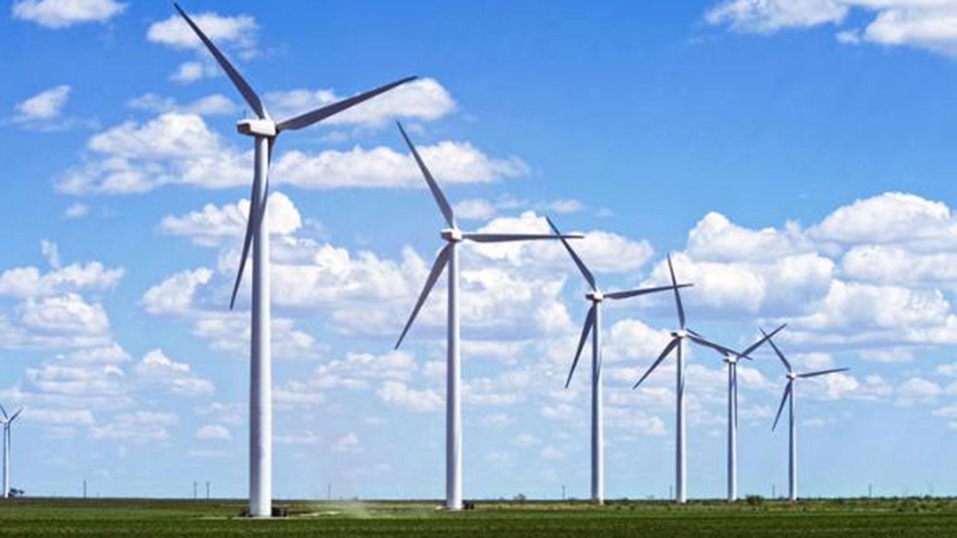 Según los resultados del índice de Triple Impacto, sólo 4% de las medianas y grandes empresas consume energías renovables de bajo impacto