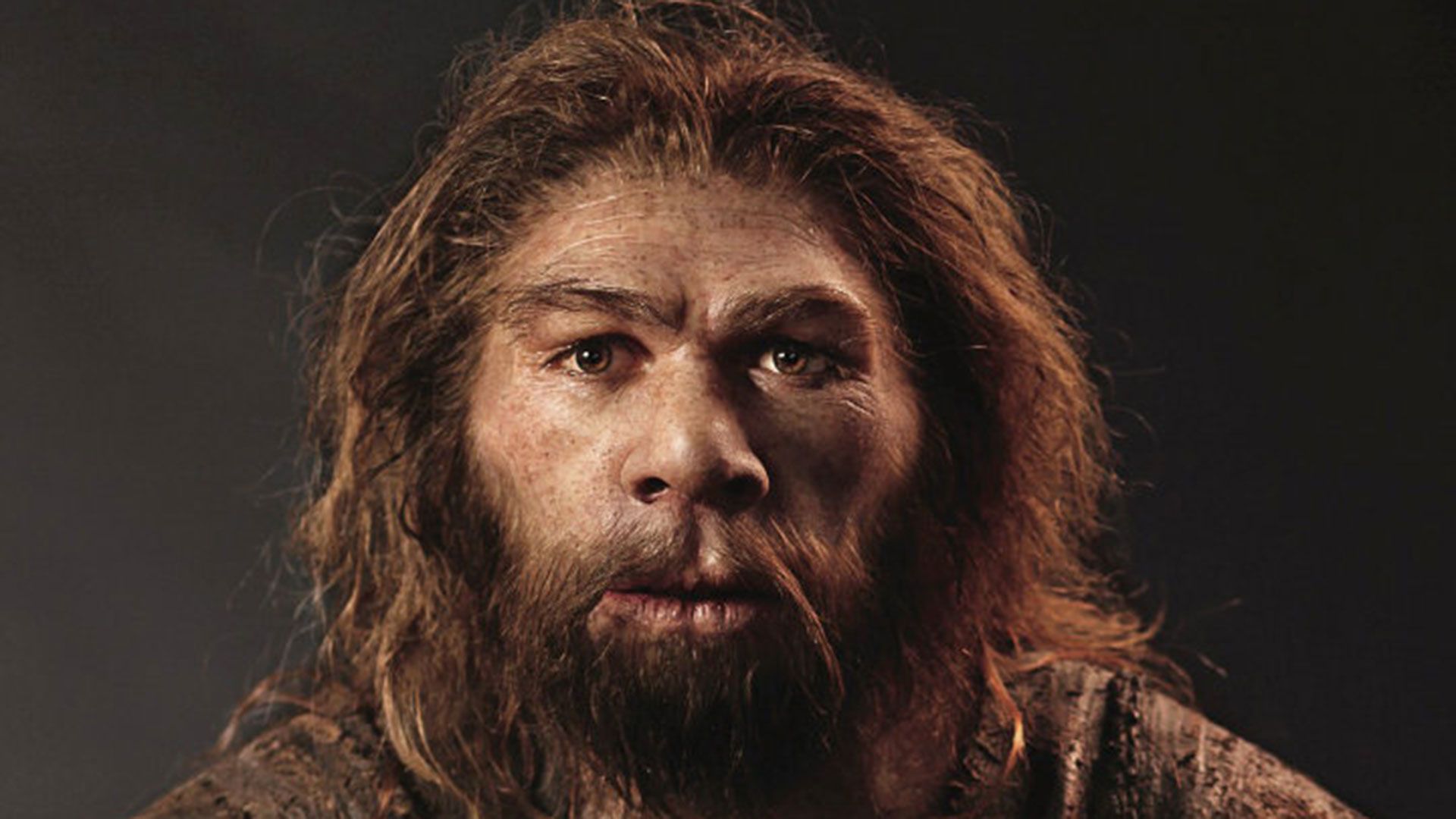 La migración constante del homo sapiens desde África selló el destino del hombre de Neandertal
