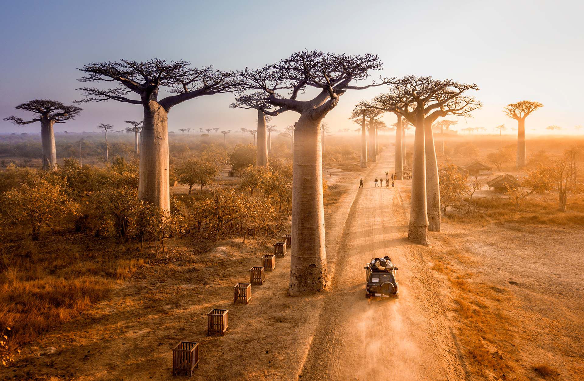 Lémures, baobabs, selva tropical, desierto, senderismo y buceo: Madagascar es un destino de ensueño para los entusiastas del aire libre. Visitar los árboles Baobab en Madagascar es uno de los principales atractivos de este país