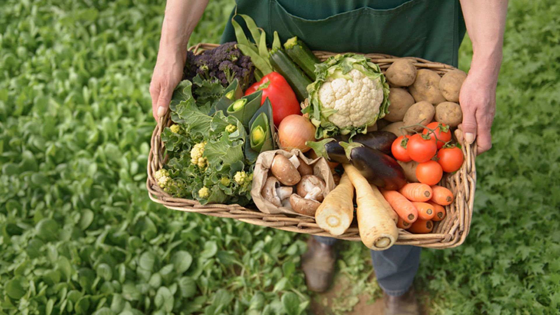 En la semana de los alimentos orgánicos, los productores buscan ganar mayor competitividad. 
