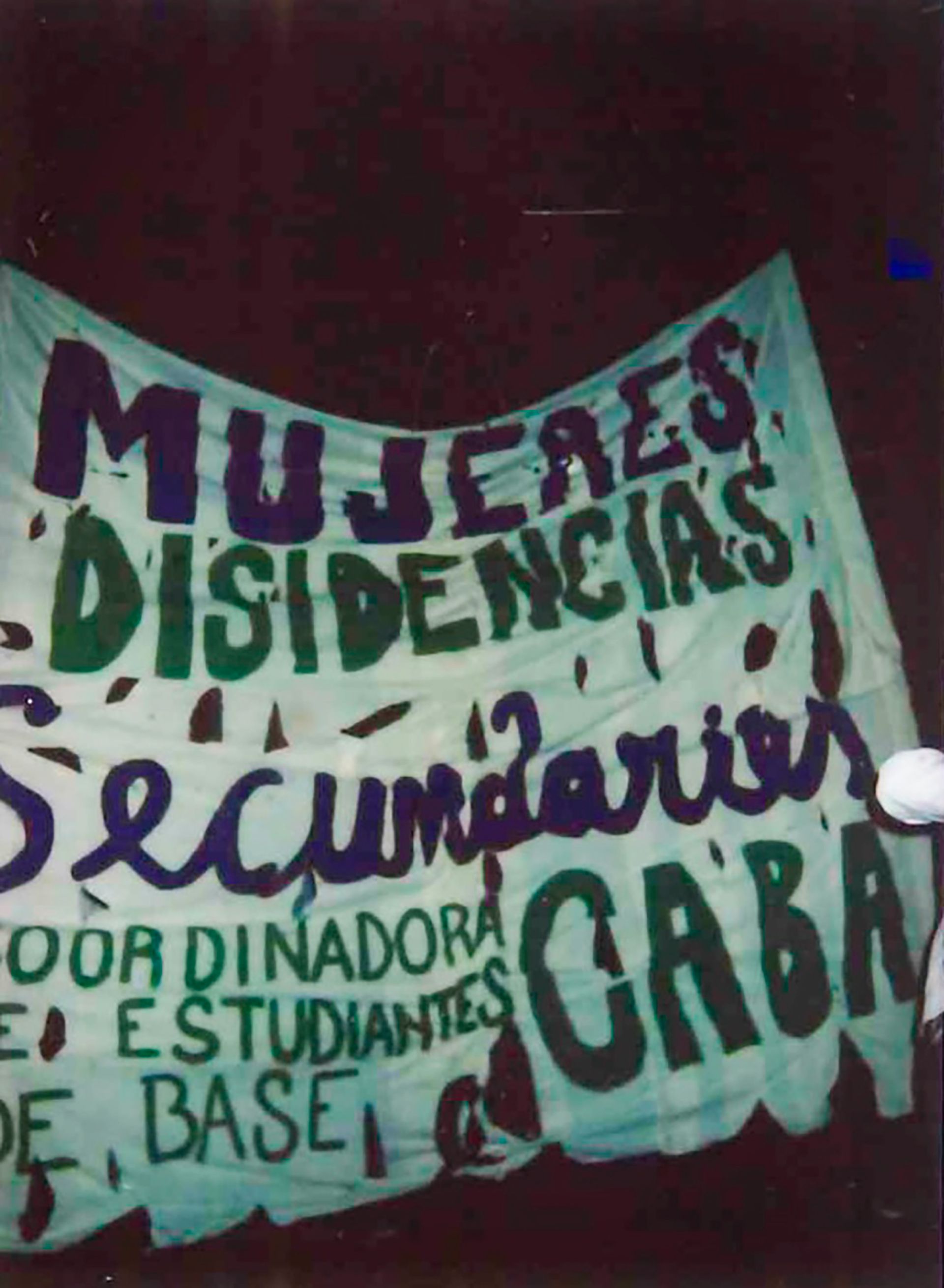 Carteles con mensajes en español de género neutro en el Encuentro Nacional de Las Mujeres.