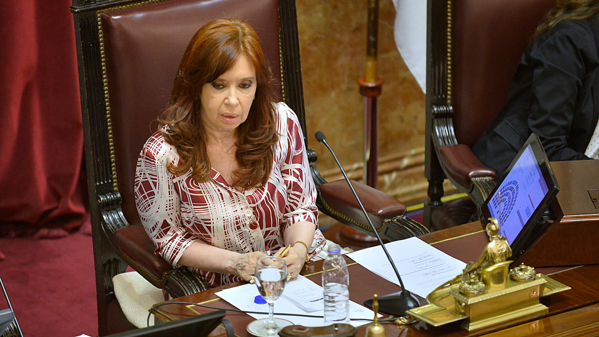 Cristina Kirchner (Gustavo Gavotti)