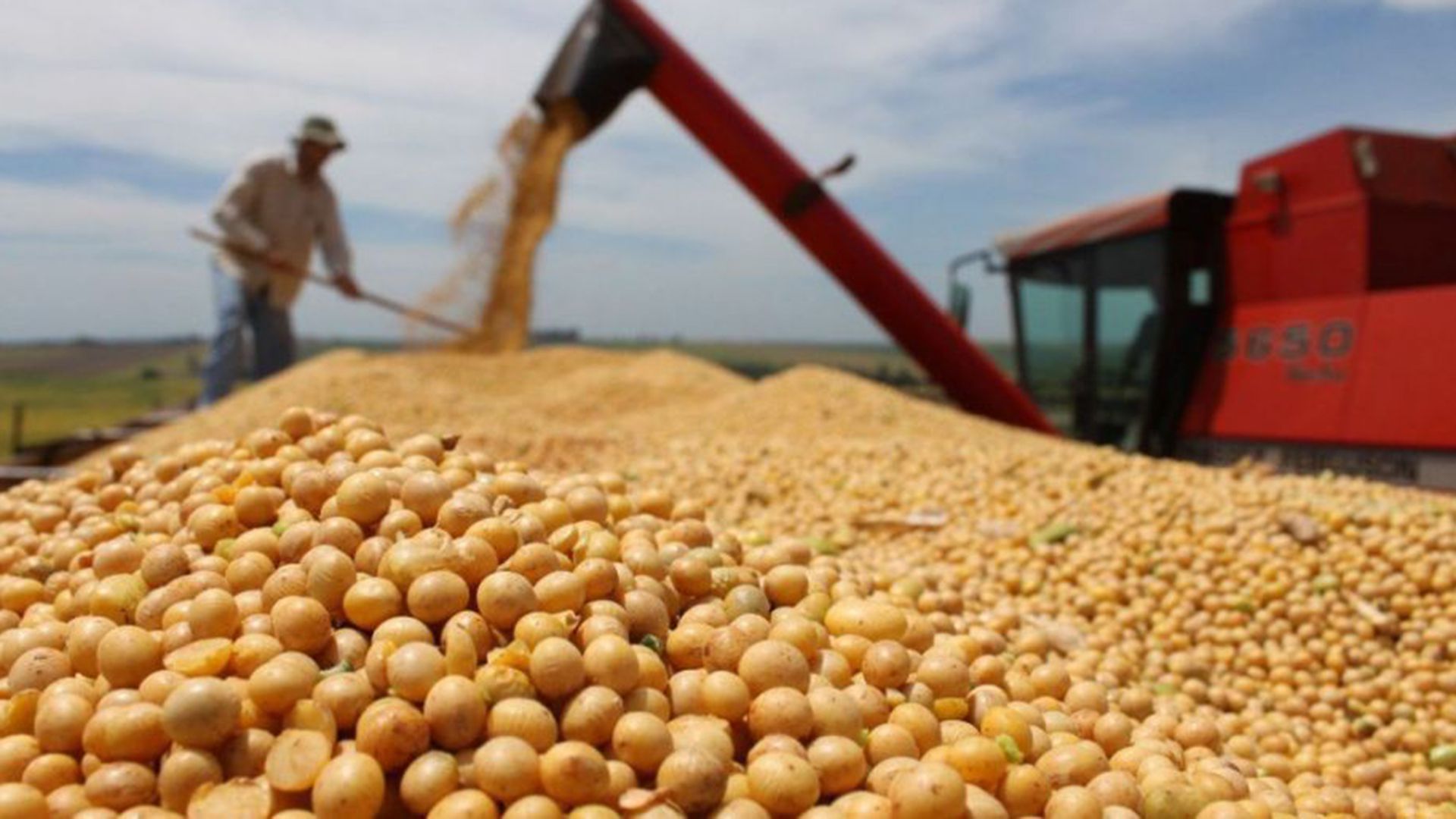 Los productores de soja pagarán 3 puntos porcentuales más de retenciones, que subirán del 30% al 33%