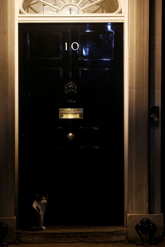 El gato Larry se sienta frente al 10 de Downing Street en Londres, Gran Bretaña, después de que el primer ministro británico, Boris Johnson, fue admitido en el hospital tras sufrir síntomas persistentes de coronavirus (COVID-19). REUTERS/Henry Nicholls -