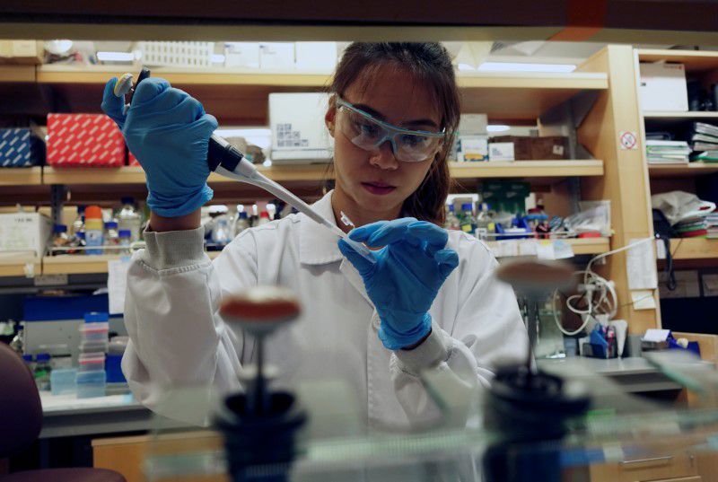 Una investigadora trabaja en un laboratorio de la Facultad de Medicina de Duke-NUS, que está desarrollando una forma de rastrear los cambios genéticos que aceleran las pruebas de vacunas contra la enfermedad del coronavirus (COVID-19), en Singapur. 23 de marzo de 2020. REUTERS/Joseph Campbell.