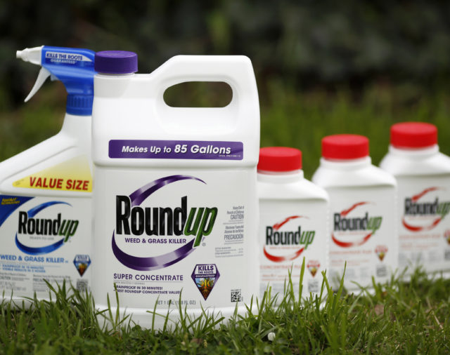 Condenan a Monsanto a pagar USD 2.000 millones por su herbicida Roundup, a base de glifosato