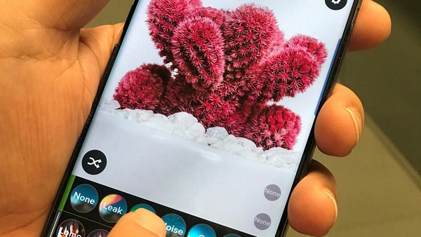 Instagram: filtros imperdibles para producir las mejores fotos