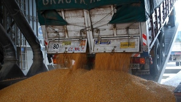 La caída de la soja en Chicago impactó en Rosario