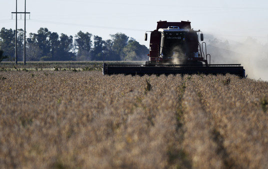 La soja cayó al menor precio en 10 años y la cosecha pierde US$3.000 millones