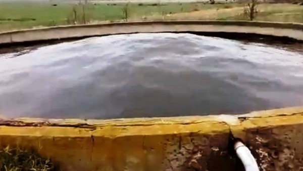 Video: el misterioso movimiento del agua en un tanque que genera revuelo en las redes sociales