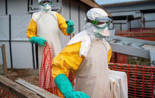 Brote epidémico de ébola: cuando la enfermedad pisó América