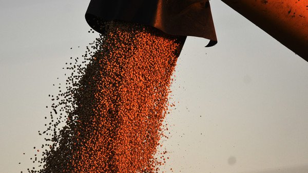 La cosecha de soja finalizó con 56 millones de toneladas y rinde récord