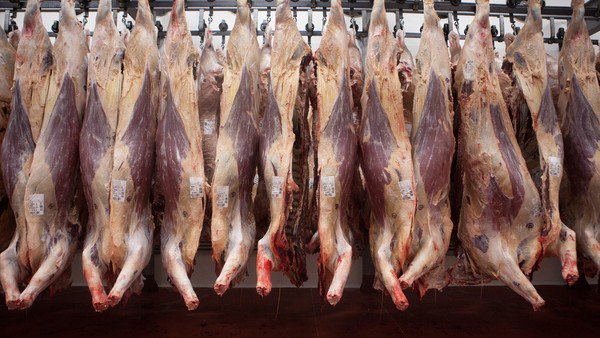 Soja, carne, pescados y frutas podrán exportarse a Europa con arancel cero