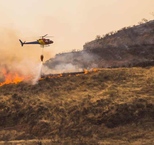 Incendio forestal en la isla española de Gran Canaria: más de cinco mil personas fueron evacuadas
