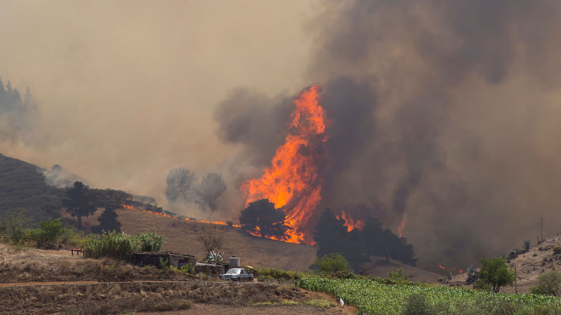El incendio afectó, hasta el momento, a cerca de 1.500 hectáreas (REUTERS/Borja Suarez)