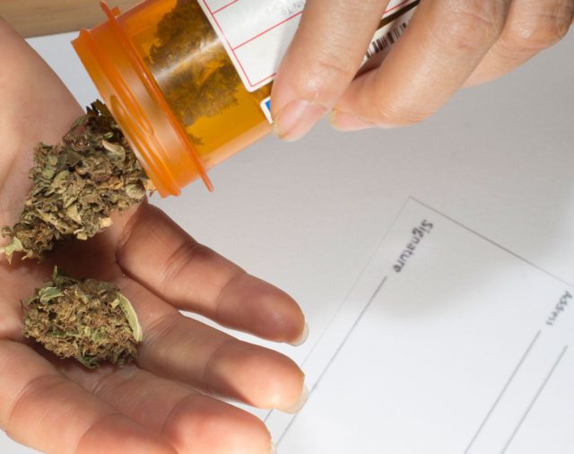 Mitos y verdades sobre el cannabis medicinal