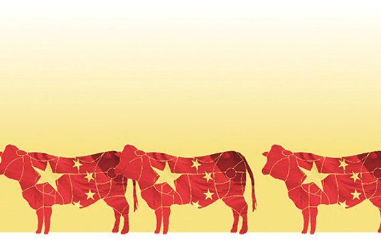 Argentina ya es el principal proveedor de carne vacuna en China
