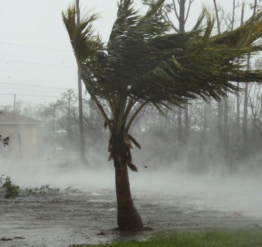 Asciende a cinco el número de muertos tras el devastador paso del huracán Dorian en Bahamas