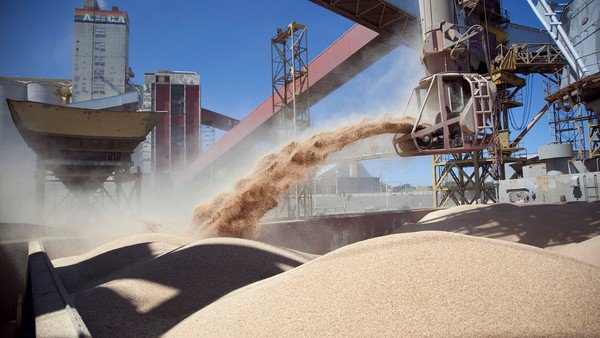 Histórico: tras 20 años de negociaciones, Argentina exportará harina de soja a China