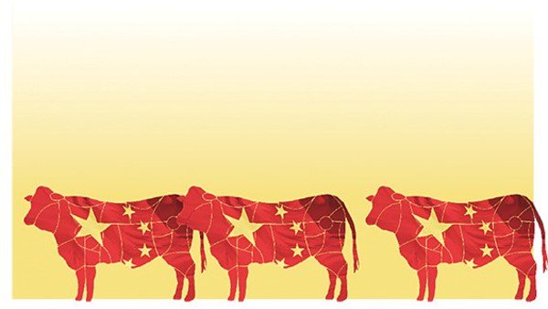 La carne argentina conquista a China y saltan fuerte las exportaciones