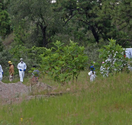 La fosa del horror en Jalisco: ya suman 138 bolsas con restos humanos encontradas en La Primavera