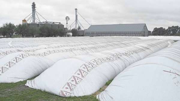 La pregunta que se hacen el Gobierno y el mercado: qué harán los productores con las 26 millones de toneladas de soja que guardan en silobolsa?