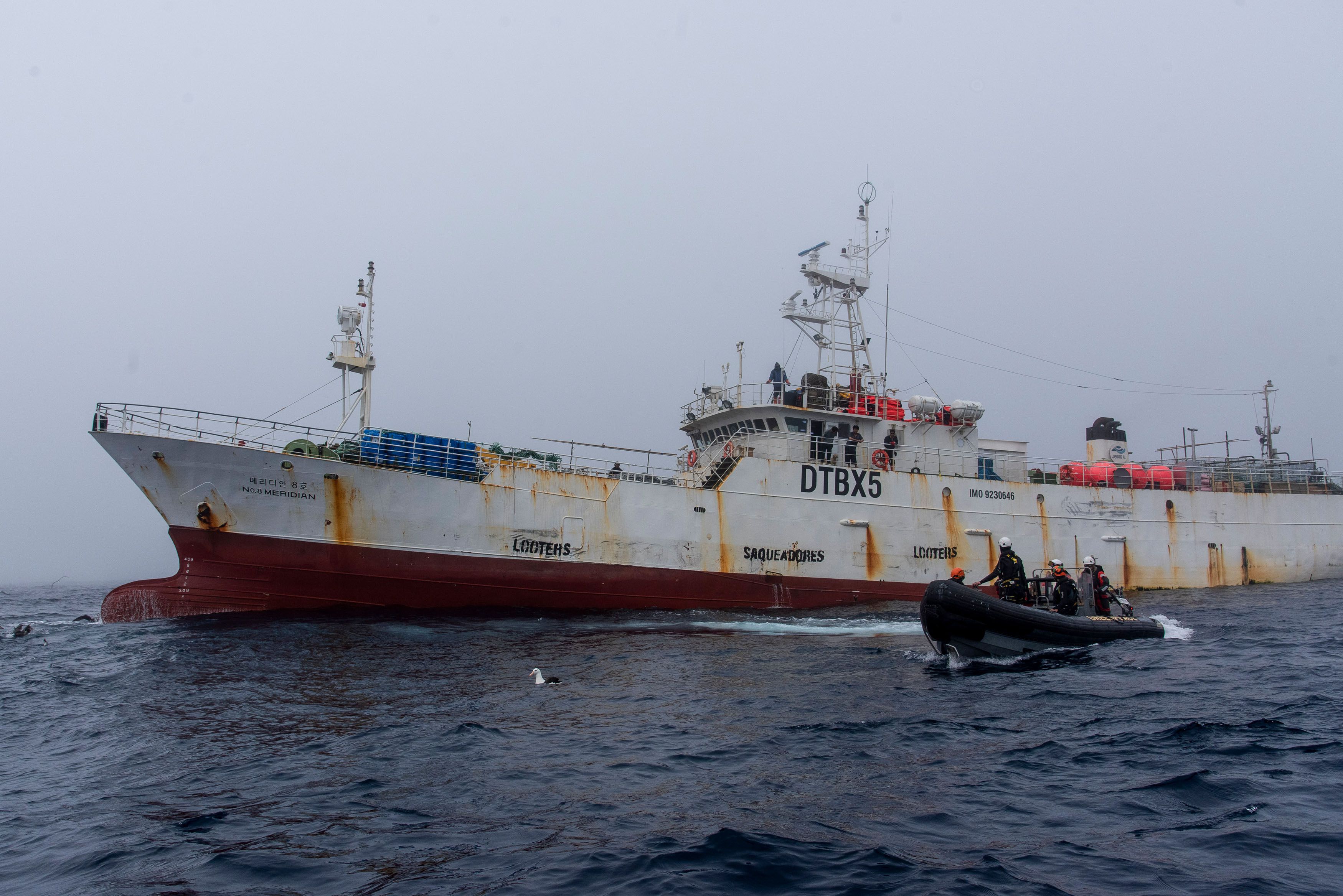 El momento en que uno de los dos gomones de Greenpeace se aproximó al Meridian N8. El pesquero surcoreano aceptó la protesta pacíficamente. Foto: Cristobal Olivares / Greenpeace