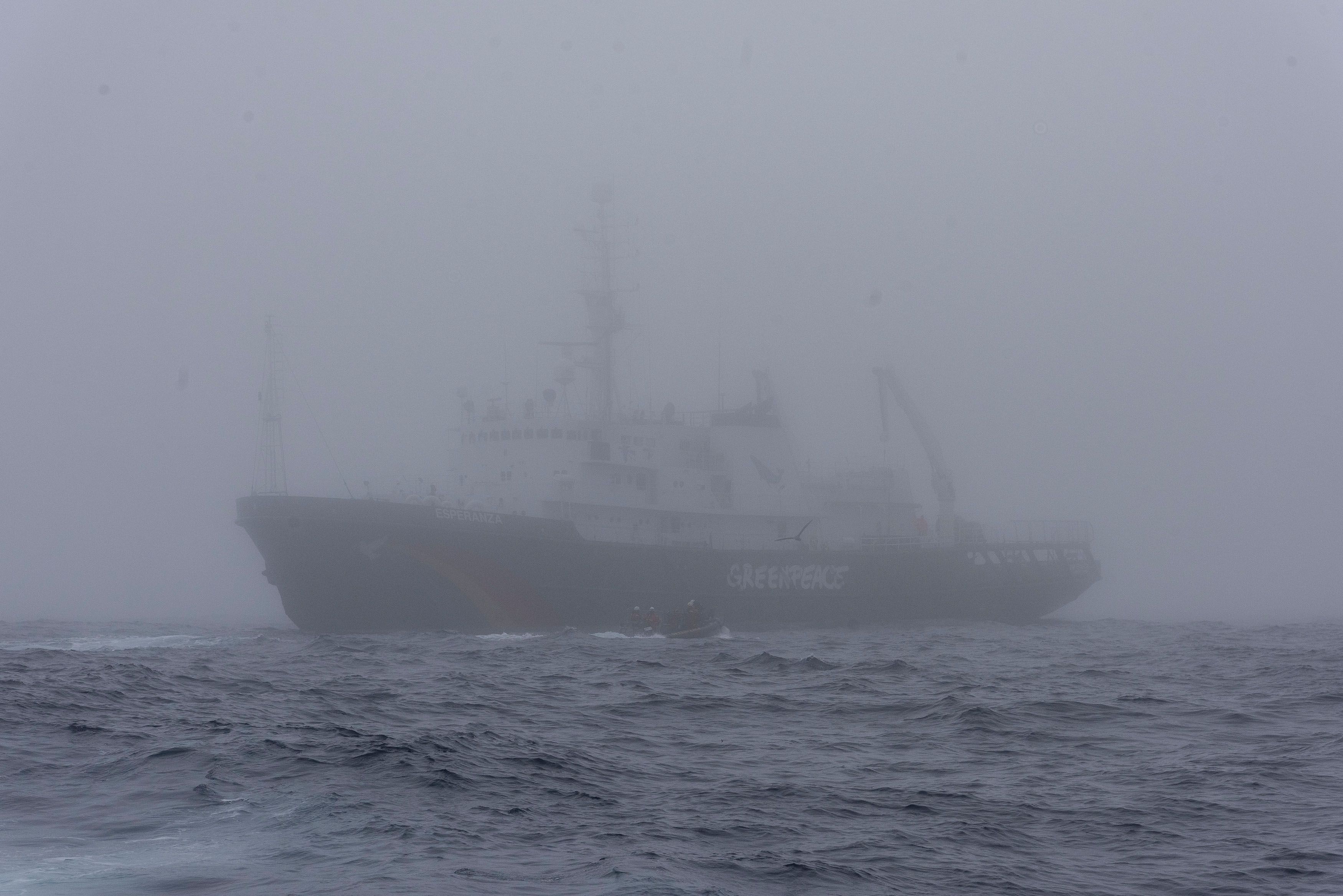 El Esperanza en medio de la espesa niebla que cubrió el océano a la hora de la acción contra el pesquero surcoreano. Foto: Cristobal Olivares / Greenpeace