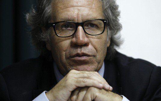 La novela de Luis Almagro y los "espías argentinos" que la OEA llevó a La Paz