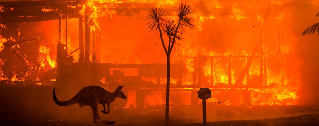 La historia detrás de la fotografía que mejor ilustró el drama de los incendios en Australia