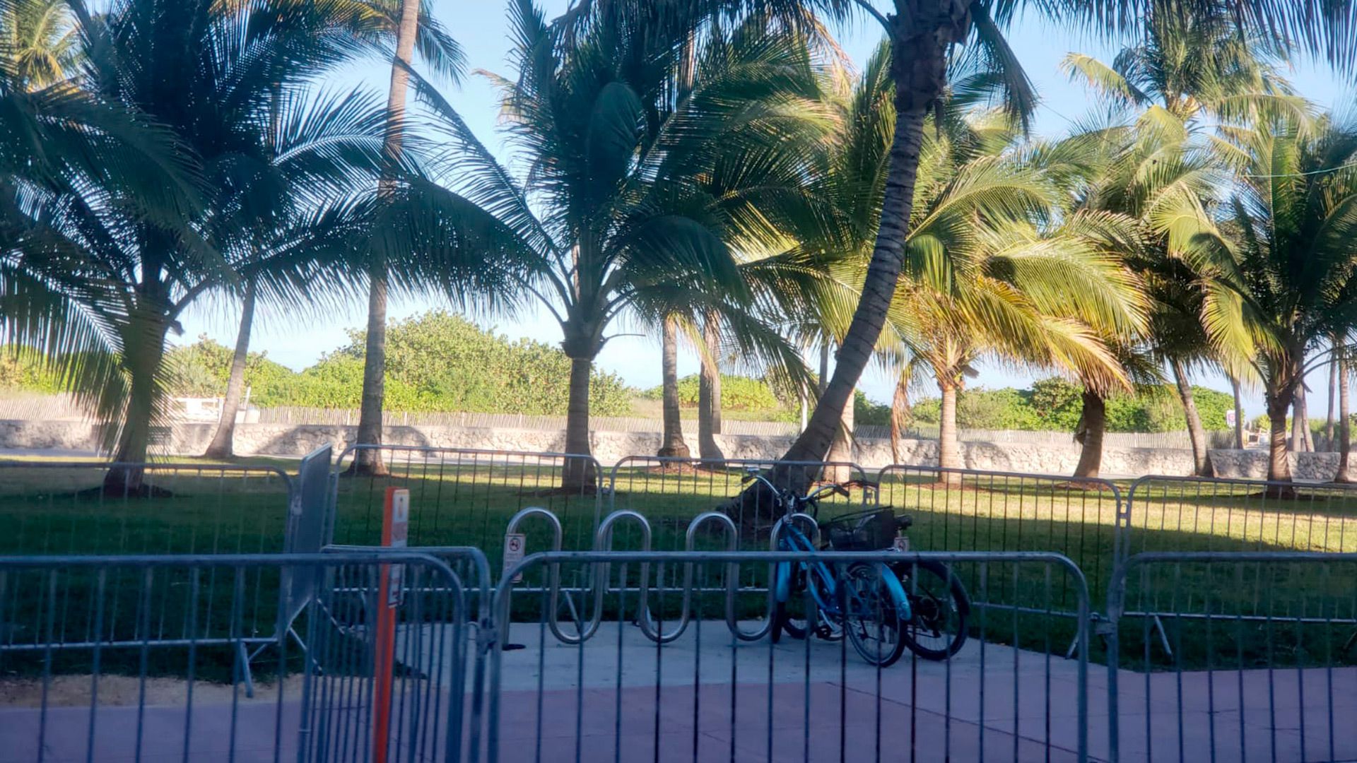 Las calles de Miami se encuentran prácticamente vacías ante el pedido de las autoridades a la población de permanecer en su casa, mientras sigue en aumento el número de contagios por coronavirus. (Foto: Infobae)