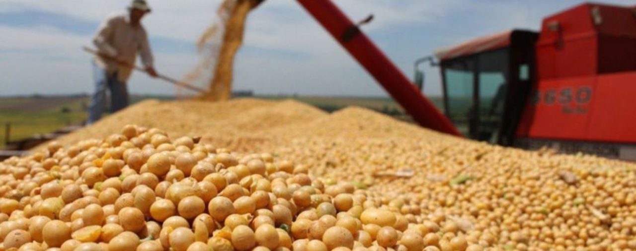 El Gobierno anunció la suba de retenciones a la soja con compensaciones para pequeños productores y reducciones para las economías regionales