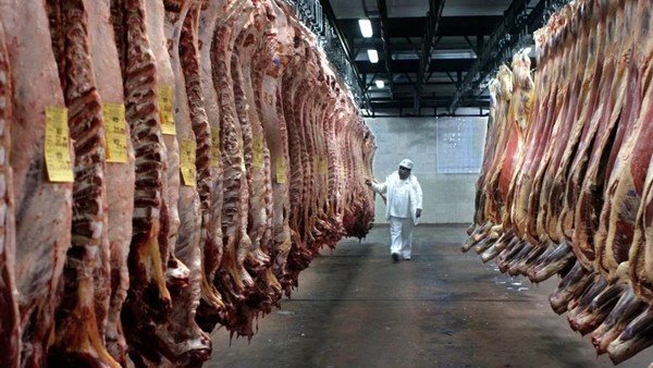 Coronavirus en la Argentina: las exportaciones de carne, en la montaña rusa